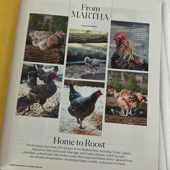 June 2019 Issue Martha Stewart Living - Sweet Summer - Picture 4 of 15